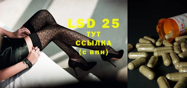 крисы Вязьма