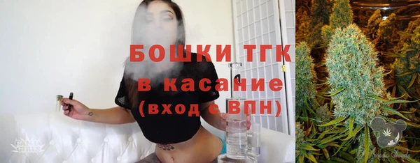 индика Волосово