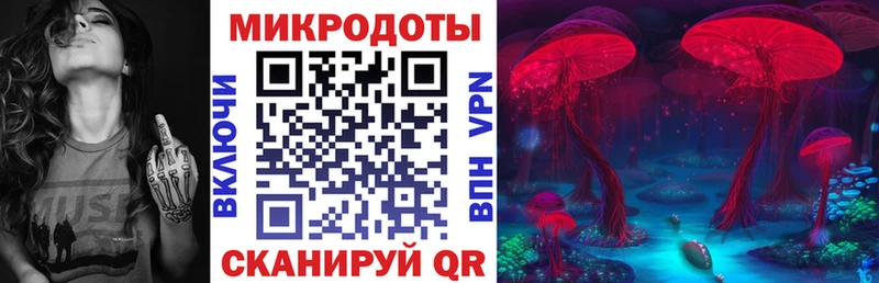 Псилоцибиновые грибы Psilocybe Дрезна